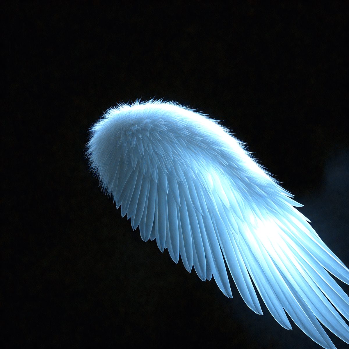 9186 - the-angel-and-the-shadow-a-luminous-angel-wing-contra_250708092745_00001.png